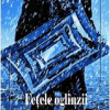 Fetele oglinzii | Florin Lazar