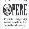 Opere 4. Cuvantul nisiparnita. Roman de citit in tren. Porumbelul zboara | Dumitru Tepeneag