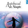 Autobuzul de noapte | Madeleine Davidsohn