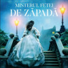 Misterul fetei de zapada | Tracy Rees