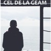 Cel de la geam | Ciprian Apetrei