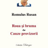 Roua si bruma & Cauze provizori | Romulus Rusan