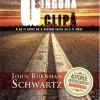 O singura clipa | John Burnham Schwartz