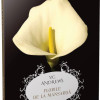 Florile de la mansarda | V.C. Andrews