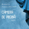 Camera de proba | Mihaela Pascu-Oglinda