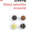 Sfantul nebuniilor incipiente | Elif Shafak