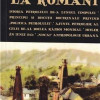 Aurul negru la romani | Radu Lungu