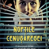 Noptile Cenusaresei | Isabel Camblor