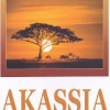 Akassia | Catinca Agache