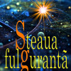 Steaua fulguranta | Aurel Carasel