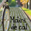 Maini de cal | Daniel Galera