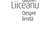 Despre limita | Gabriel Liiceanu