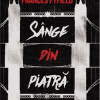 Sange din piatra | Frances Fyfield