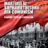 Romania: Martiri si supravietuitorii din comunism | Gabriel Teodor Gherasim