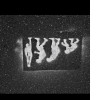 Filip Manakis: o poveste europeana | Liviu G. Stan