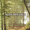 Note din zile | Marius Iosif