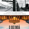 O oglinda a occidentului | Jean Louis Vullierme