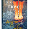 Dragoste intr-o zi ploioasa | Jojo Moyes