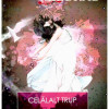 Celalalt trup | Milorad Pavic