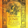 Junii din Scheii Brasovului | Vasile Oltean