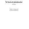 In buricul pamantului | Catalin Dorian Florescu