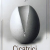 Cicatrici | Audur Ava Olafsdottir