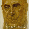 Despovararea. Simturi si instincte. Volumul II | Radu Boroianu