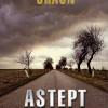 Astept raspuns | Dan Chaon