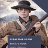 Zile fara sfarsit | Sebastian Barry