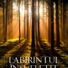 Labirintul insufletit | Adam Foulds