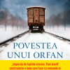 Povestea unui orfan | Pam Jenoff