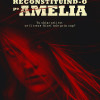 Reconstituind-o pe Amelia | Kimberly McCreight