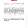 Parerile despre viata ale motanului Murr | E.T.A. Hoffmann