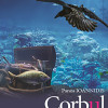 Corbul | Panos Ioannidis