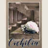 Cochilia | Gheorghe Schwartz