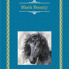 Black Beauty | Anna Sewell