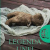 Legenda unei sinucideri | David Vann