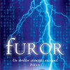 Furor | Markus C. Schulte von Drach