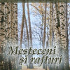 Mesteceni si rafturi | Olivia Mandrutiu-Rusu