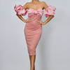 Rochie de ocazie Yareli Somon
