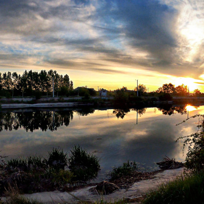 50 km alergati cu jeleuri