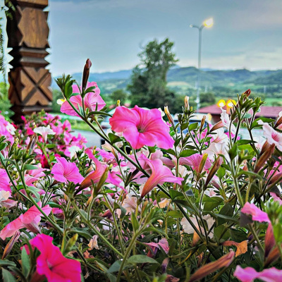 Ce-am mâncat în aventura din weekend: de la sarmale la pâine făcută cu suflet, bulz cu twist și un festin la Gerendás